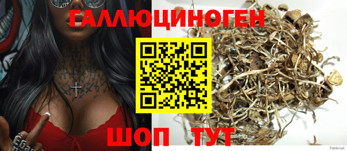 Галлюциногенные грибы мухоморы  цены   Горно-Алтайск  Вход с VPN 